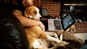 A man spending time with pet dog