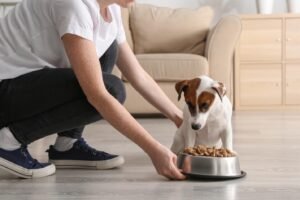 A lady giving food to dog