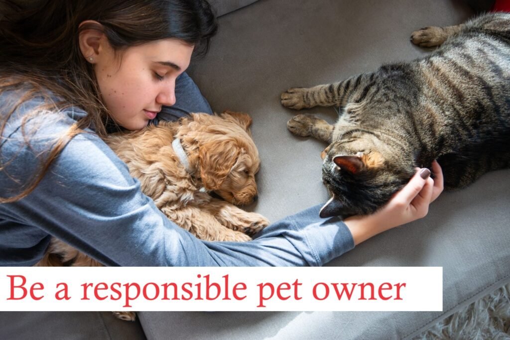 A responsible pet owner with pets