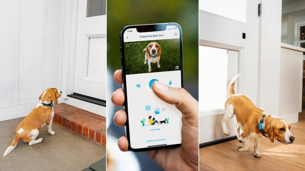 Smart Pet Door